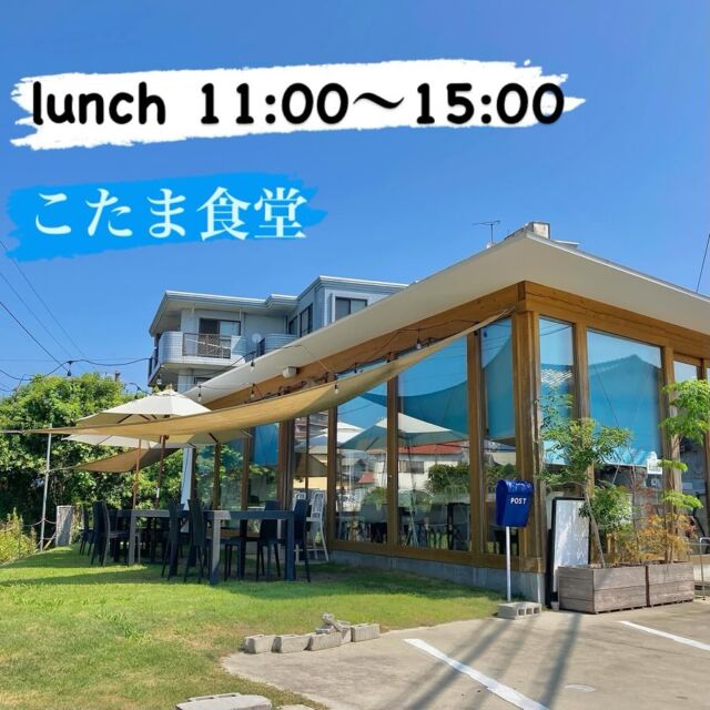 2025.05.12.
こんにちは😋こたま食堂です♪
・
週末はたくさんのご来店ありがとうございました😊
・
今週もがんばります♪
・
日替わりランチ（ご飯おかわり3杯までOK）
A
メインメニュー表全てOK
・
B
オムライス
・
ドライカレー
・
ハヤシライス
・
皆様のご来店をお待ちしてます♪
・
テラス席ペット同伴可
今月からテラス席はセルフサービスにしています
ご理解ご協力よろしくお願いいたします🙇
・
#こたま食堂#できたて#揚げたて#ご飯おかわり3杯までOK#テラス席ペット同伴可#宮前駅周辺#こたまランチ#おこさまランチ#電車が見られるお店#地産地消#コモンズリノベーション#洋食と家庭料理#和歌山ランチ