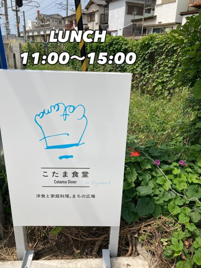 2025.06.02.
こんにちは、こたま食堂です😋
・
6月梅雨入りももうすぐ🔜
今日は涼しい風が気持ちいいです😋
・
本日日替わりランチ
A
（エビフライ・からあげ以外）はメインメニュー表
どれでもOK
・
B
ハイシライス
・
イタリアンスパゲティ🍝
・
皆様のお越しをお待ちしてます😋
・
#こたま食堂#できたて#揚げたて#ご飯おかわり3杯までOK#定食#洋食と家庭料理#宮前駅周辺#和歌山ランチ#きのくに線沿い#wakayama#電車が見られるお店🚃#テラス席ペット同伴可#ガラス張り#さんかくやね