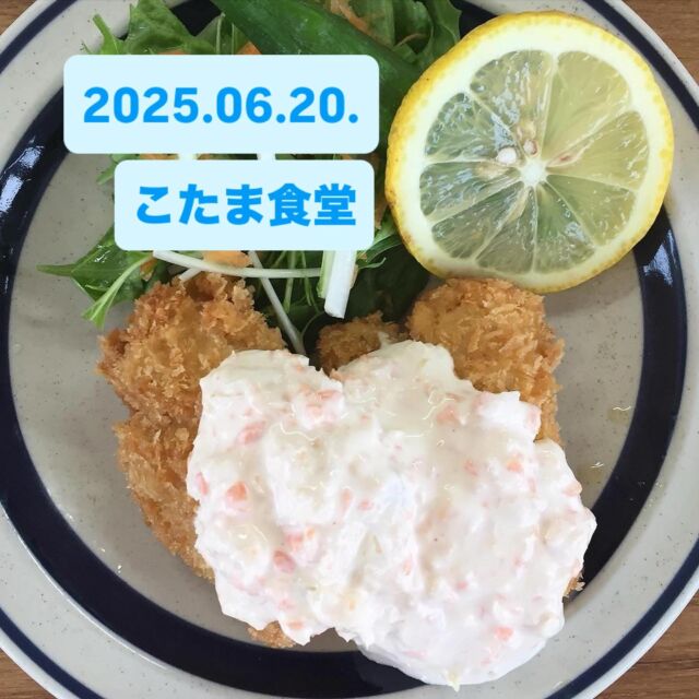 2025.06.20.
こんにちは、こたま食堂です😋
・
梅雨の中休み☂️
来週からまた梅雨に戻るようです☔️
・
日替わりランチ
A
（からあげ以外）
メインメニュー表の中からお一つお選びください♪
・
B
チキンカツとじ
・
オムライス
・
ハヤシライス
・
1品お選びください♪
・
本日ディナー営業日🍽️
皆様のご来店をお待ちしてます😋
・
店内席数限りがありますのでベビーカーの持ち込みはお断りする場合がございます
ご理解ご協力よろしくお願い致します
チャイルドチェアはご用意がありますので
お使いください♪
・
#こたま食堂#できたて#揚げたて#ご飯おかわり3杯までOK#宮前駅周辺#和歌山ランチ#きのくに線沿い#テラス席ペット同伴可#ガラス張り#おこさまランチ