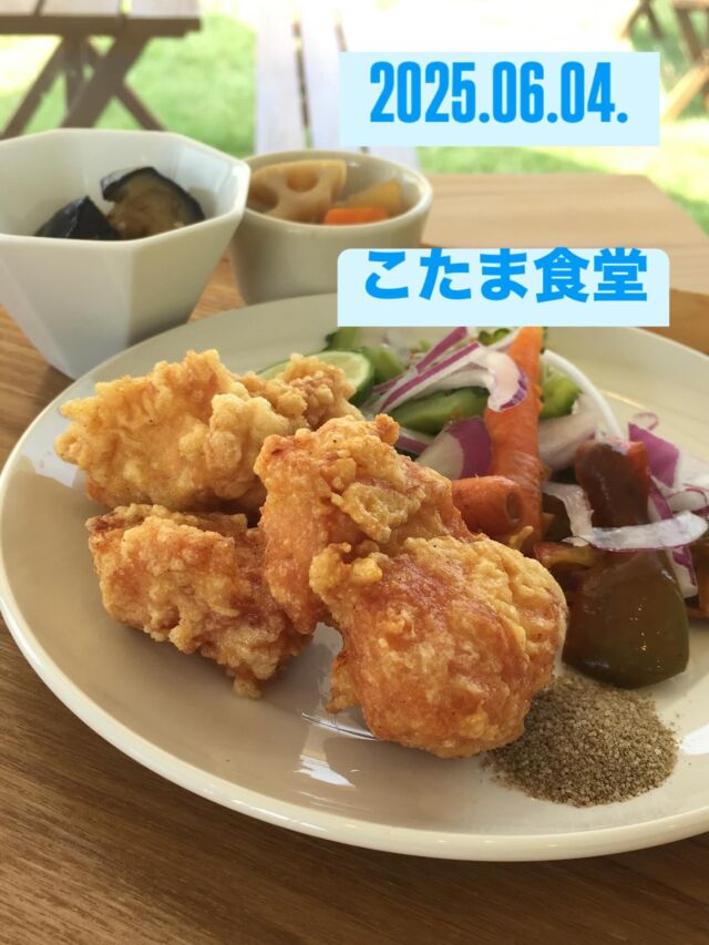 2025.06.04.
こんにちは、こたま食堂です😋
・
昨日の雨はあがり爽やかな1日になりそう✨
本日日替わりランチ
A
メインメニュー表全てOK
・
B
ハイシライス
・
ドライカレー
・
数量限定・イタリアンスパゲティ🍝
・
皆様のご来店をお待ちしてます😋
皆様の笑顔のためご飯おかわり3杯までOKです
・
明日は定休日です♪
・
#こたま食堂#できたて#揚げたて#ご飯おかわり3杯までOK#宮前駅周辺#きのくに線沿い#電車が見られるお店🚃#和歌山ランチ#洋食と家庭料理