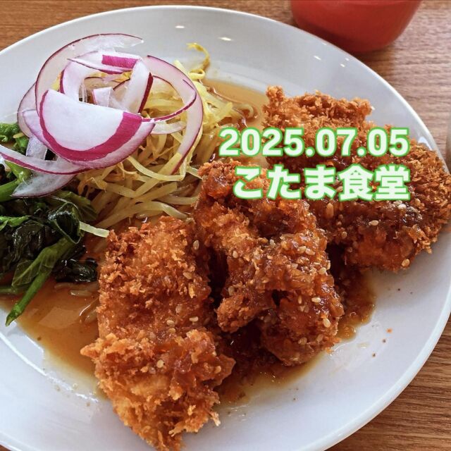 2025.07.05(土)

こんにちは❣️こたま食堂です

暑い日が続いてますが、体調管理には気を付けて
頑張りましょう💪🏻

今日の日替わりランチは

Ａ

ハンバーグ

チキンカツ

とり天

白身魚とエビフライ

Ｂ

ハヤシライス

ドライカレー

本日はディナー営業日です‼️

皆様のお越しをお待ちしています。

#こたま食堂#できたて#揚げたて#ご飯おかわり3杯までOK#宮前駅周辺#和歌山グルメ#こたまランチ#お子さまランチ#電車が見られるお店#ガラス張り