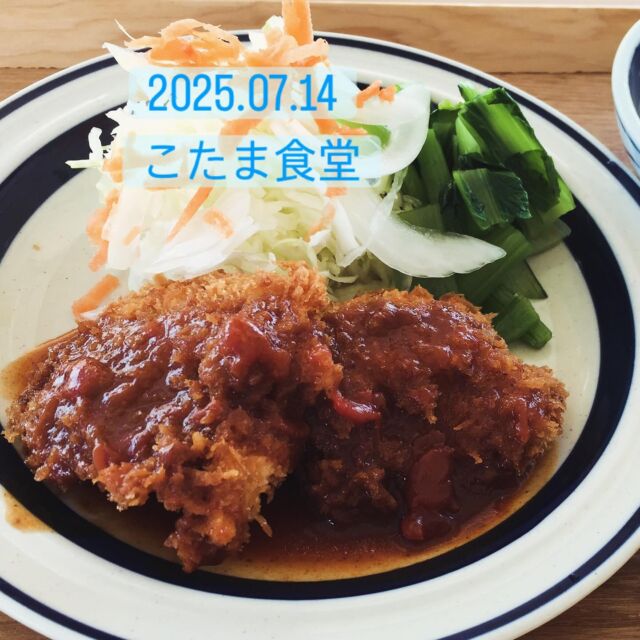 2025.07.14.
こんにちは、こたま食堂です😋
lunch 11:00から15:00まで
・
今日は昼からは雨みたいですね☔
お天気は心配ですが、涼しい店内でお待ちしております。
・
本日日替わりランチ
A
メインメニュー表
どれでもOK
・
B
チキンカツとじ
・
ハヤシライス
・
オムライス
・
ドライカレー
・
お一つお選びください♪
・
#こたま食堂#できたて#揚げたて#洋食と家庭料理#電車が見られるお店#宮前駅周辺#きのくに線沿い#テラス席ペット同伴可#和歌山ランチ