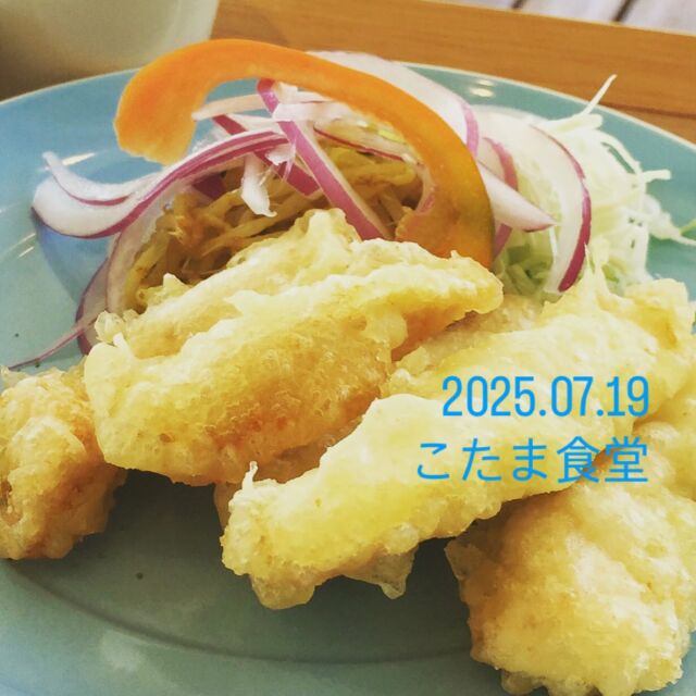 2025.07.19(土)

こんにちは❣️こたま食堂です

朝から、テラスの蝉の鳴き声も一段と賑やかです☺️

今日の日替わりランチは

Ａ
ハンバーグ

チキンカツ

とり天

エビフライ🍤

Ｂ
ハヤシライス

ドライカレー

本日はディナー営業日です♪

#こたま食堂#できたて#揚げたて#ご飯おかわり3杯までOK#宮前駅周辺#和歌山グルメ#こたまランチ#お子さまランチ#電車が見られるお店#ガラス張り