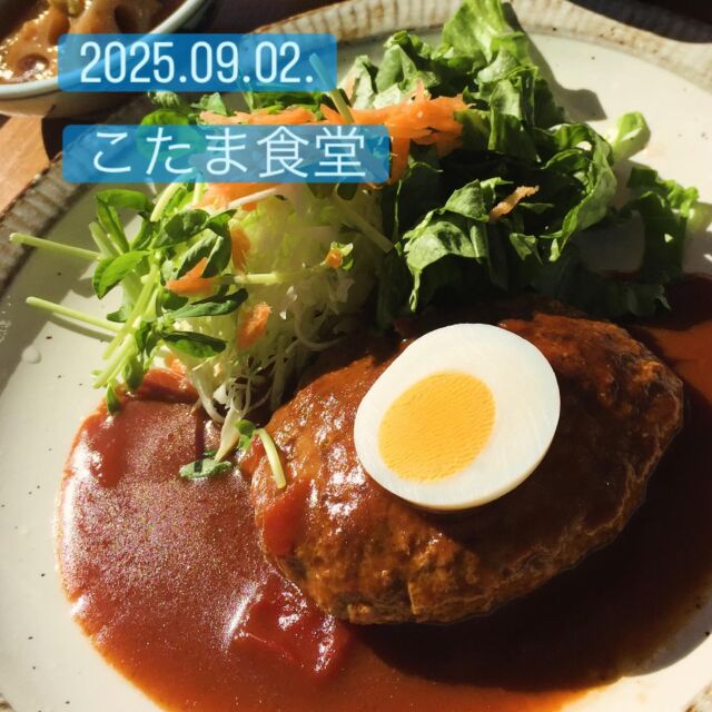 2025.09.02.
こんにちは、こたま食堂です♪
・
9月に入ったら🌕少し暑さが和らいできました♪
テラス席はペット同伴可です♪
ペット用の水分補給・暑さ対策しての
ご用意はしてご来店ください♪
・
本日日替わりランチ
A
メニュー表どれでもOK
・
B
オムライス
・
ドライカレー
・
ハヤシライス
・
皆様のお越しをお待ちしております♪
・
9月10月祝日が多いですね
お出かけの際はぜひこたま食堂でお腹を満たして
休暇を楽しみましょう😊
・
定休日🎌・毎木曜日・第4水曜日
・
#こたま食堂#できたて#揚げたて#ご飯おかわり3杯までOK#宮前駅周辺#和歌山ランチ#おこさまランチ#電車が見られるお店🚃#こたまランチ#wakayama#テラス席ペット同伴可#ガラス張り