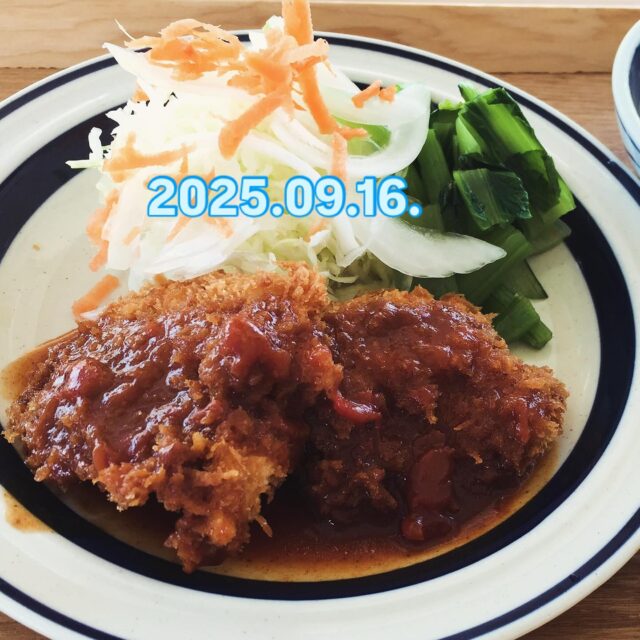2025.09.16.
こんにちは、こたま食堂です😋
・
連日たくさんのご来店、問い合わせ
ありがとうございます😊
・
店内限りがありますので、土日祝やランチタイムは
待ち時間が発生する場合がございます。
　その際は、スタッフにお声がけ頂きましたら順番にご案内いたしますので、ご理解ご了承の程よろしくお願いします🙇‍♂️
・
lunch 11:00〜15:00（os14:30）
・
本日日替わりランチ
A
メインメニュー表
（からあげ以外で）
いずれかお選びください♪
・
B
オムライス
・
ハヤシライス
・
ドライカレー
・
皆様のお越しをお待ちしております♪
・
#こたま食堂#できたて#あげたて#ご飯おかわり3杯までOK#宮前駅周辺#和歌山ランチ#テラス席ペット同伴可#ガラス張り#電車が見られるお店🚃#おこさまランチ#wakayama