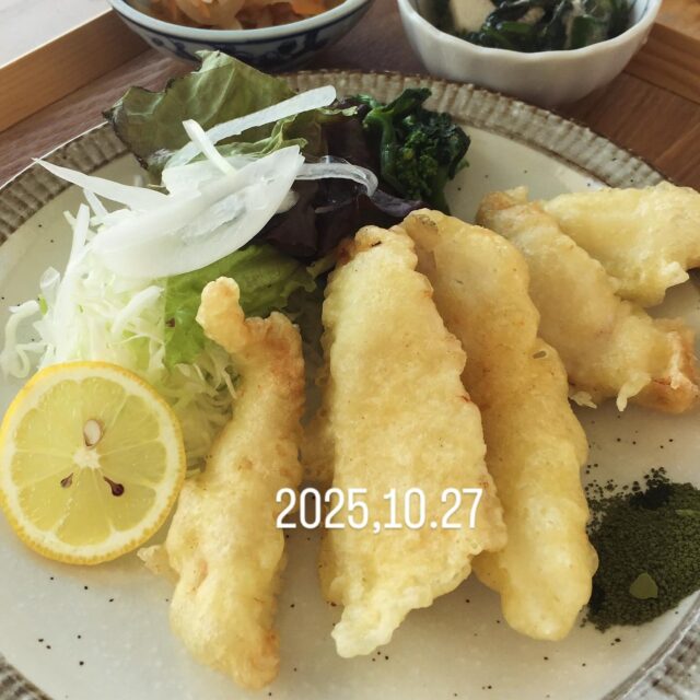 2025.10.27(火)
こんにちは❣️こたま食堂です
今日は、少し肌寒いですね🍂
10/31(金)夜の部は貸し切りの為、ご利用頂けません
よろしくお願いします
今日の日替わりランチは
A
メニュー表のメインどれでも🆗
B
オムライス
ドライカレー
ハヤシライス
皆様のお越しをお待ちしています♪
#こたま食堂#できたて#揚げたて#ご飯おかわり3杯までOK#宮前駅周辺#和歌山グルメ#こたまランチ#お子さまランチ#電車が見られるお店#ガラス張り