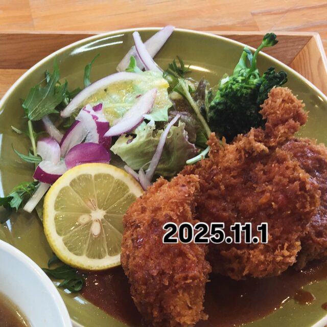 2025.11.1(土)
こんにちは❣️こたま食堂です
お天気良くなってきましたね😊
爽やかな、秋晴れです
今日の日替わりランチは
A
メニュー表のメインどれでも🆗
B
オムライス
ドライカレー
ハヤシライス
本日はディナー営業日です♪
皆様のお越しをお待ちしています
#こたま食堂#できたて#揚げたて#ご飯おかわり3杯までOK#宮前駅周辺#和歌山グルメ#こたまランチ#お子さまランチ#電車が見られるお店#ガラス張り