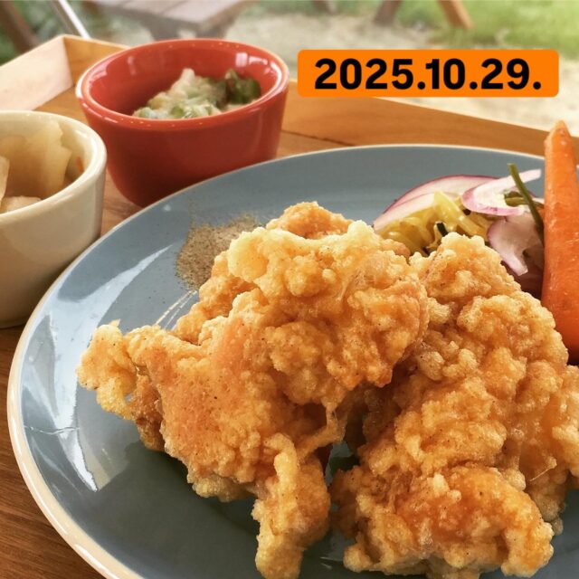 2025.10.29、
こんにちは、こたま食堂です♪
・
わかやまペイ10月末までご利用頂けます♪
・
⚠️10/31(金)夜の部は貸し切りとなります。
ご了承ください。
ランチタイムは通常営業しております。
皆様お誘い合わせの上ご来店ください♪
・
本日日替わりランチ
A
メインメニュー表どれでもOK
・
B
オムライス
ドライカレー
ハヤシライス
どれか一つお選びください
・
皆様のお越しをお待ちしてます😋
・
#こたま食堂#できたて#揚げたて#洋食と家庭料理#宮前駅周辺#きのくに線沿い#電車が見られるお店🚃#和歌山ランチ#テラス席ペット同伴OK#wakayama#和歌山南ICより車で15分#わかやまペイ