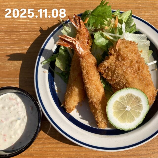 2025.11.08(土)

こんにちは❣️こたま食堂です

爽やかな良いお天気ですね♪

テラス席ご用意して、お待ちしています😊

今日の日替わりランチは

Ａ

ハンバーグ

とり天

ポーク
ロース　カツ

白身魚のフライとエビフライ

Ｂ

ハヤシライス

オムライス

本日はディナー営業日です🐶

#こたま食堂#できたて#揚げたて#ご飯おかわり3杯までOK#宮前駅周辺#和歌山グルメ#こたランチ#お子さまランチ#電車が見られるお店#ガラス張り