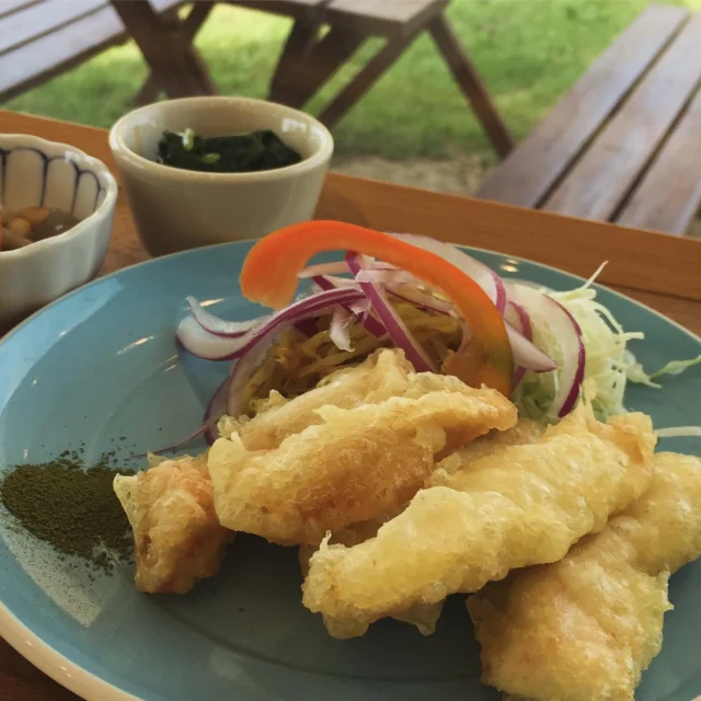 2024.11.23(月・祝)

こんにちはこたま食堂です☀️
クリスマスがもうすぐ1ヶ月です♪昨日のけやき通りのイルミネーション点灯式行かれましたか？😊

今日の日替わりランチ
🅰️ランチセット
・
白身魚とエビフライ
・
ハンバーグ(和風ソース)
・
とり天
.
ポークロースカツ(トマトソース)

のどれか。

🅱️ランチセット
・
ドライカレー
or
ハヤシライス
or
オムライス

です！

📝lunch11:00〜15:00（os14:30）
予約はお電話で承っていますが、11：00ご来店の方のみとなっております。11：00以降は先着順でご案内です🎵
ご理解ご了承の程よろしくお願いします。
・
📝ディナー(金土日の夜)のご予約は何時でも受け付けております。
お電話にてよろしくお願いいたします🤲🏻

🚗駐車場の台数が限られているのでご来店の際は、出来るだけ乗り合わせをよろしくお願いします🙇🏻‍♀️

皆様のご来店をお待ちしてます🐶🐾

・
#こたま食堂#ディナー営業日#ご飯おかわり3杯までOK#できたて#揚げたて#ご飯おかわり3杯までOK#電車が見られるお店#ガラス張り#宮前駅周辺#wakayama