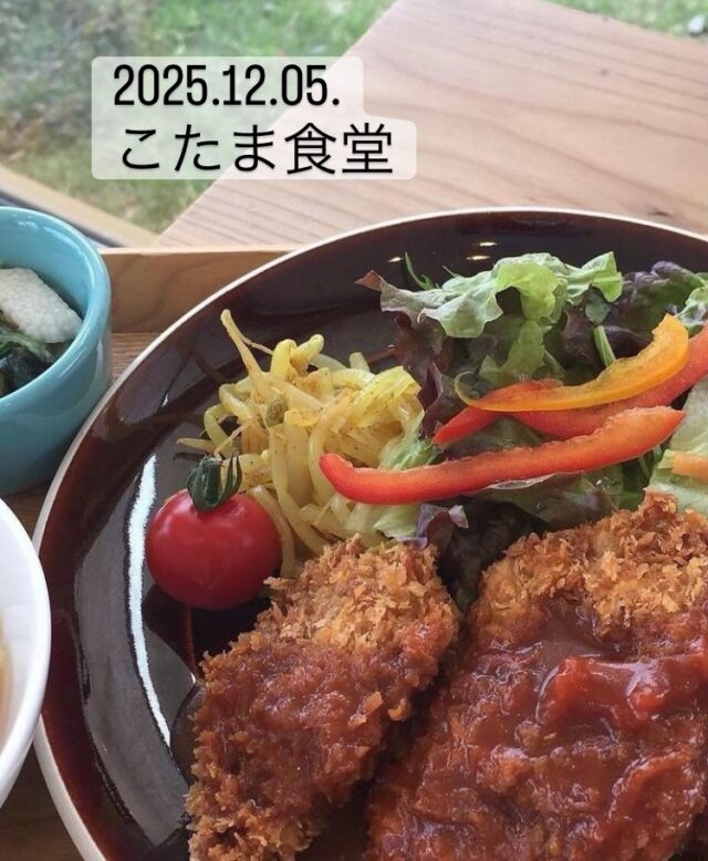 2025.12.05.
こんにちは、こたま食堂です♪
・
12月入れると寒くなりました。
皆さんこたま食堂でのお食事でバランス良いお食事
で温かくお過ごし下さい♪
・
本日日替わりランチ
A
メインメニュー表どれでもOK
・
B
ドライカレー
・
ハヤシライス
・
オムライス
・
#こたま食堂#できたて#揚げたて#洋食と家庭料理#宮前駅周辺#電車が見られるお店🚃#wakayama#こたまランチ#おこさまランチ#テラス席ペット同伴OK
