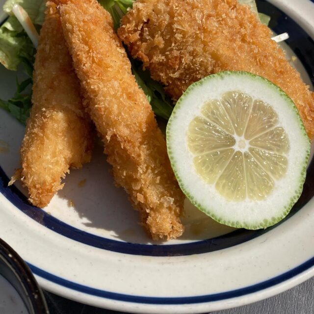 2025.12.13(土)

こんにちは😃こたま食堂です♪

良いお天気ですね♪

テラス席は一枚多めに羽織ってお越しください♪

今日の日替わりランチは

Ａ
ハンバーグ
チキンカツ
からあげ
魚とエビフライ

Ｂ
ハヤシライス
ドライカレー
オムライス

皆様のお越しをお待ちしております♪

本日ディナー営業日🍽️

#こたま#できたて##揚げたて